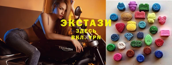 крисы Бородино