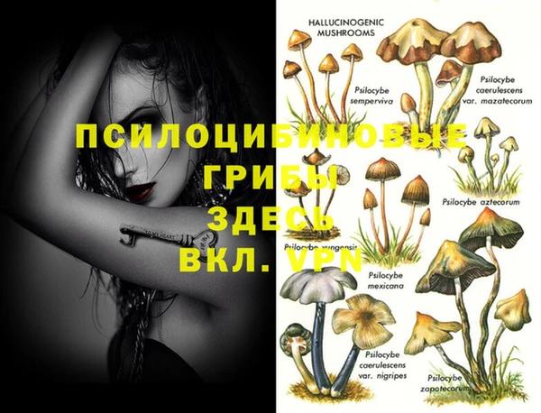 а пвп мука Бугульма