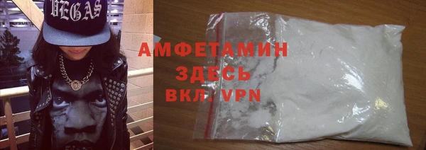 крисы Бородино