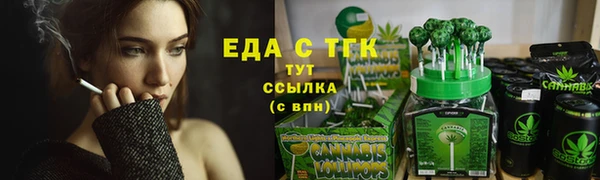 крисы Бородино