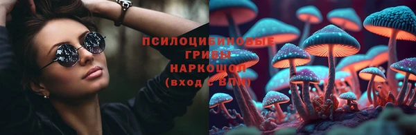 а пвп мука Бугульма