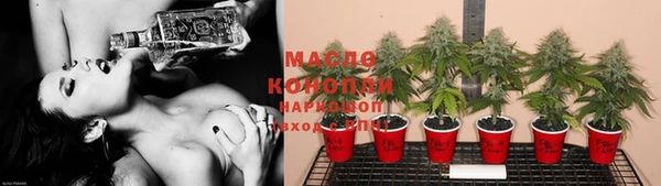 крисы Бородино