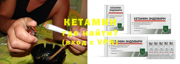 крисы Бородино