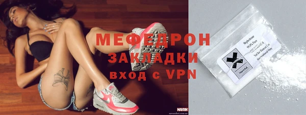 крисы Бородино
