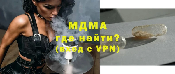крисы Бородино