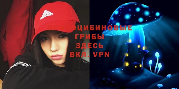 а пвп мука Бугульма