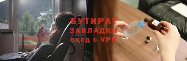 крисы Бородино