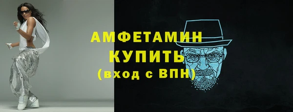 крисы Бородино