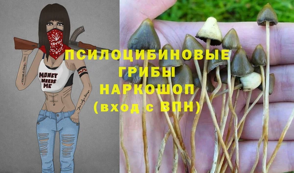 крисы Бородино