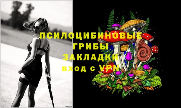 а пвп мука Бугульма