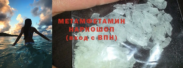 крисы Бородино