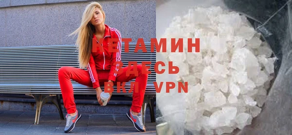 крисы Бородино