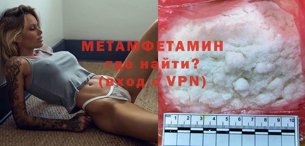 крисы Бородино