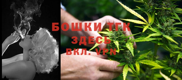 крисы Бородино