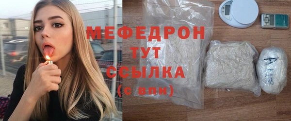 крисы Бородино