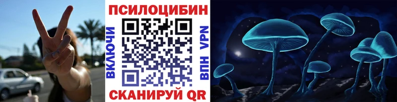 блэк спрут рабочий сайт  Славянск-на-Кубани  Псилоцибиновые грибы Cubensis 