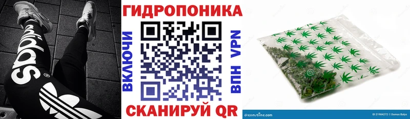 Бошки марихуана THC 21%  Славянск-на-Кубани 